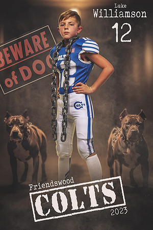 SOPH_Williamson_Luke_LCL10245_BANNER_