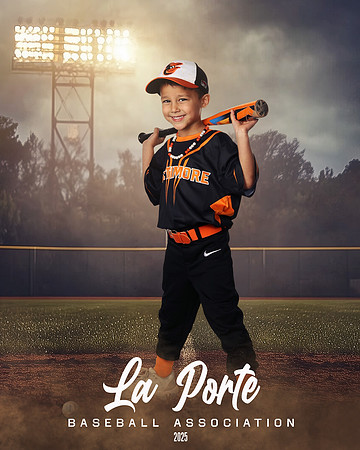 4U_Foal_Orioles_Newell_Ripp_LP010365_FIELDLIGHTS