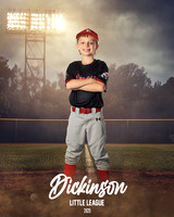 CP8_COUGARS_Moon_Mark_DLL12173_FIELD LIGHTS_