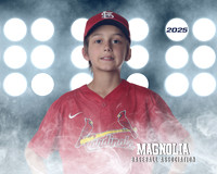 11_12U_Cardinals_Gray_Cole_MAG27128_LIT