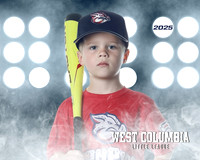 TB IRON PIGS_Shands_Slate_WC010118_LIT_