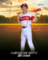 MJR.Powell.Cardinals_Bice_Landan_143A1731_SUNSHINE