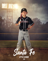 MINORS_WOODPECKERS_Marsolais_Thomas_IMGL9228_FIELDLIGHTS