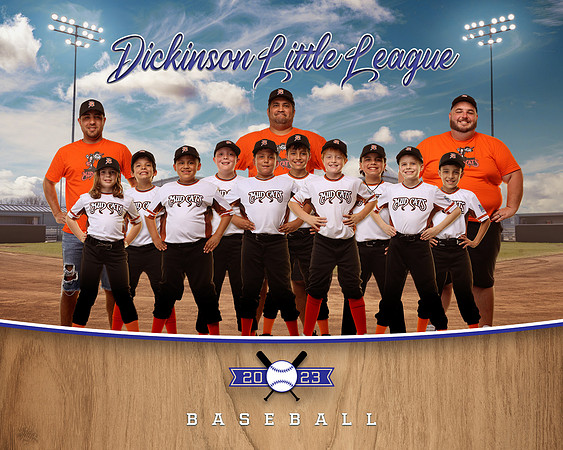 MINOR_MUDCATS