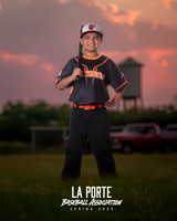 8U_Pinto_Orioles_Ugarte_Usbaldo_LP023661_TRUCK