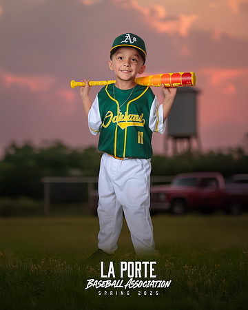 4U_Foal_Athletics_Gallardo_Orion_LP010667_TRUCK