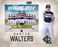 AAA.Bales.WhiteSox_Walters_Carter_143A1134_MM_MM