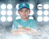 CP8_BRUINS_Cordero_Alan_DLL20390_LIT