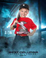 JR MINOR WOODPECKERS_Jenkins_Carter_WC010947_DUGOUT_