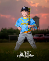 4U_Foal_Rays_OMalley_Atticus_LP010630_TRUCK