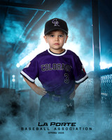 4U_Foal_Rockies_Shearfield_Carver_LP010169_DUGOUT