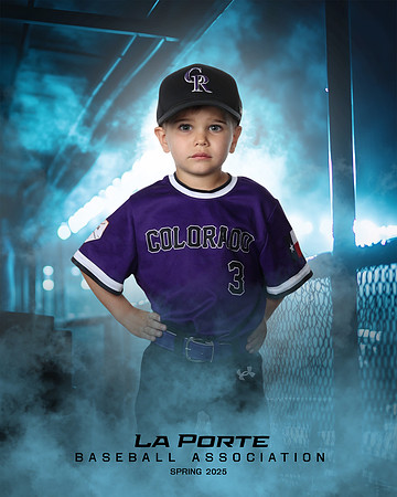 4U_Foal_Rockies_Shearfield_Carver_LP010169_DUGOUT