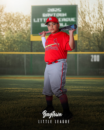 MJR_Cardinals_Guerrero_Damian_BAY29719_SIGN