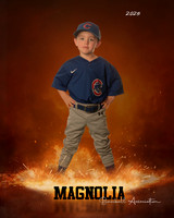 4_5U_Cubs_Reynolds_Walker_MAG26542_ROF