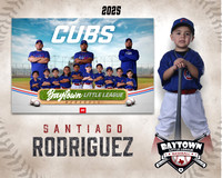 TB_ Cubs_Rodriguez_Santiago_BAY29845_MM