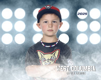 JR MINOR CHIHUAHUAS_Tyk_Weldon_WC010630_LIT_