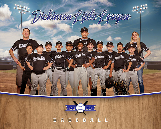 MAJOR_WHITE SOX