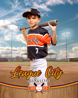 ballpark1