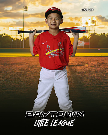 M3_ Cardinals_Camargo_Narsiso_BAY27982_SUNSHINE