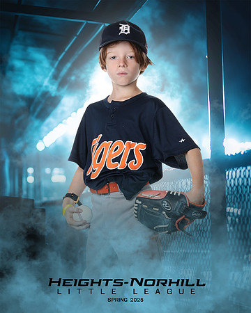 PW_TIGERS_George_Theodore_HN010170_DUGOUT