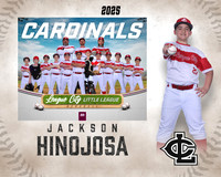 AAA.Lutz.Cardinals_Hinojosa_Jackson_143A2004_MM_MM