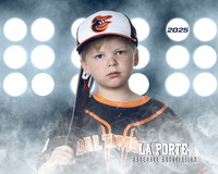 4U_Foal_Orioles_Jarvis_Ryder_LP010396_LIT