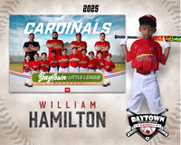 M3_CARDINALS_Hamilton_William_BAY28063_MM