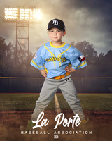 4U_Foal_Rays_OMalley_Atticus_LP010629_FIELDLIGHTS