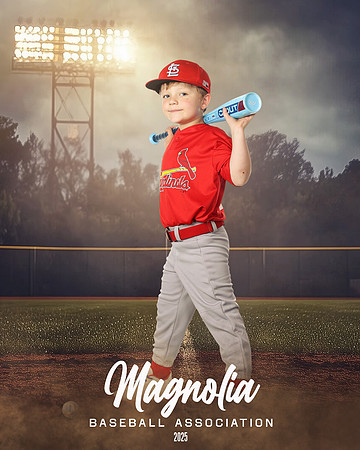 4_5U_Cardinals_Brami_Mason_MAG11657_FIELD LIGHTS_