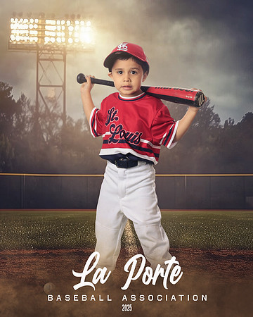 4U_Foal_Cardinals_Chavez_Zed_LP022531_FIELDLIGHTS