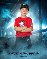 JR MINOR WOODPECKERS_Solis_Slayton_WC010972_DUGOUT_
