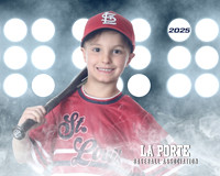 4U_Foal_Cardinals_Gamblin_Palmer_LP022818_LIT