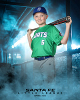 MINORS_YARDGOATS_Springer_Easton_SF111205_DUGOUT