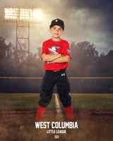 JR MINOR WOODPECKERS_Solis_Slayton_WC010971_FIELD LIGHTS_