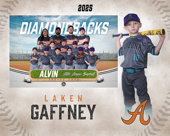 TB_DIAMONDBACKS_Gaffney_Laken_CAM13370_MM