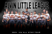 14U ALL STAR TEAM