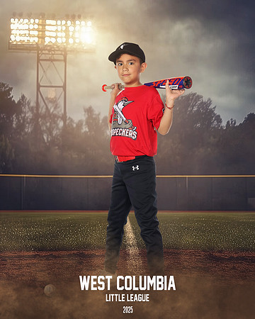 JR MINOR WOODPECKERS_Rios JR_Carlos_WC011003_FIELD LIGHTS_