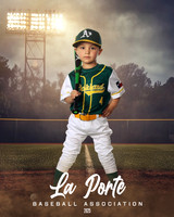 4U_Foal_Athletics_Alanis_Luka_LP010717_FIELDLIGHTS