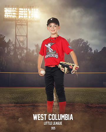 JR MINOR WOODPECKERS_Thomas_Hudson_WC010985_FIELD LIGHTS_