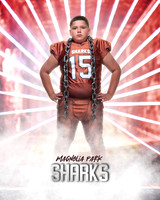 JUNIOR_Sanchez_Fabian_IMGL1395_LAZER_
