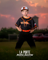 4U_Foal_Orioles_Jarvis_Ryder_LP010394_TRUCK