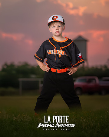 4U_Foal_Orioles_Jarvis_Ryder_LP010394_TRUCK