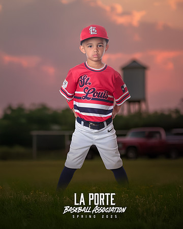 4U_Foal_Cardinals_Sosa_Luca_LP022608_TRUCK