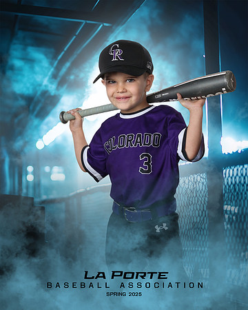 4U_Foal_Rockies_Shearfield_Carver_LP010173_DUGOUT