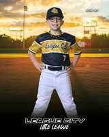 A.Sparrow.Brewers_Sparrow_Eli_IMG_0425_SUNSHINE