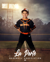 4U_Foal_Orioles_Newell_Ripp_LP010361_FIELDLIGHTS