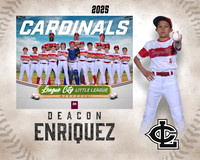 MJR.Powell.Cardinals_Enriquez_Deacon_143A1784_MM