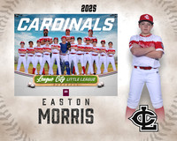 MJR.Powell.Cardinals_Morris_Easton_143A1838_MM