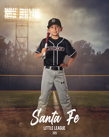 MINORS_WOODPECKERS_Marsolais_Thomas_IMGL9229_FIELDLIGHTS