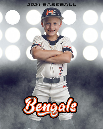 SF_20954_VLit